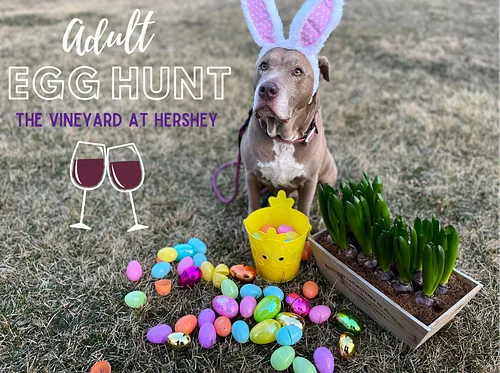 Adult Egg Hunts at The Vineyard at Hershey