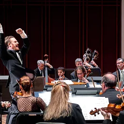 Mahler's Ninth