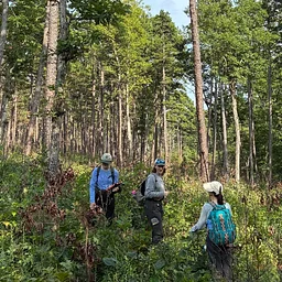 Seeing Fire Differently: The Next Era of Wildland Fire Monitoring