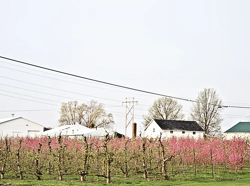 Spring Farm Tour – April