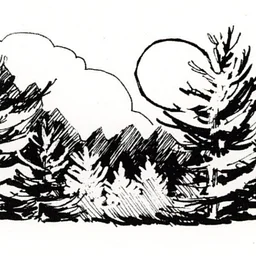 Talk of the Town: Christmas Tree Farms