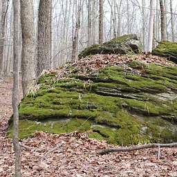 Geology of Stone Hill