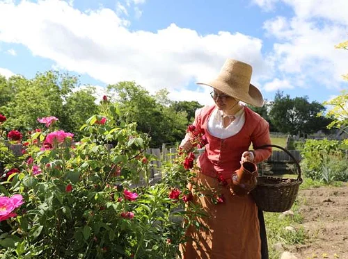 Spring Heirloom Plant Sale (Plymouth)