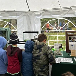 Fall Festival