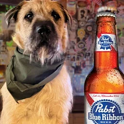 Pappy’s Yappy Hour