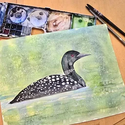 WORKSHOP SERIES: Intermediate Watercolor Techniques Series @ Holmes Art Studio, Detroit Lakes