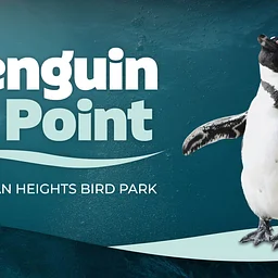 Grand Opening: Penguin Point