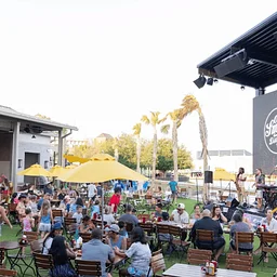 Live Music at Ole Smoky Distillery and Yee-Haw Brewing