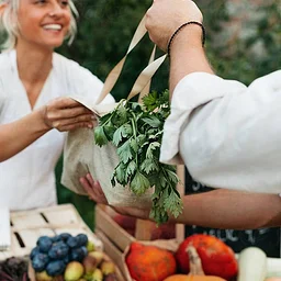 Farmer’s Market