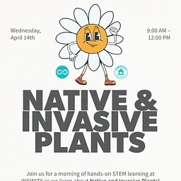 Homeschool Wednesday – Native and Invasive Plants