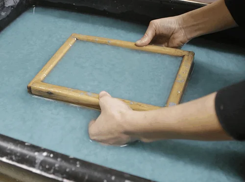 Fiber to Form: Papermaking & Botanical Printmaking with Kaitlin Pomerantz & Samuel Havens
