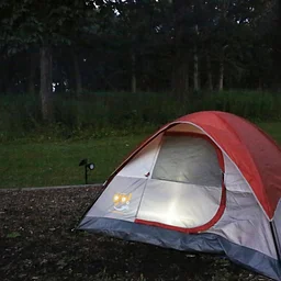 Camping 101: Overnight!