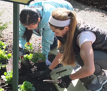 Weekly Ground Force Session