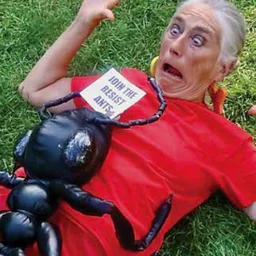 PAT OLESZKO’S GI – ANT PICNIC