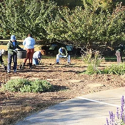 Horticulture Volunteer Workday