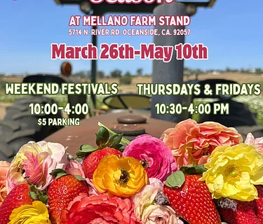 Berries and Blooms Festival