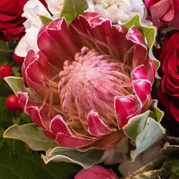 2/28: Love in Bloom Wedding Showcase