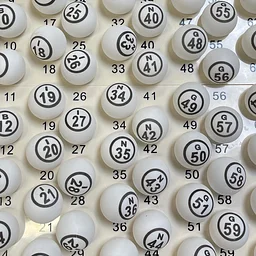 Bingo Night sponsored by artist Justin Biff!