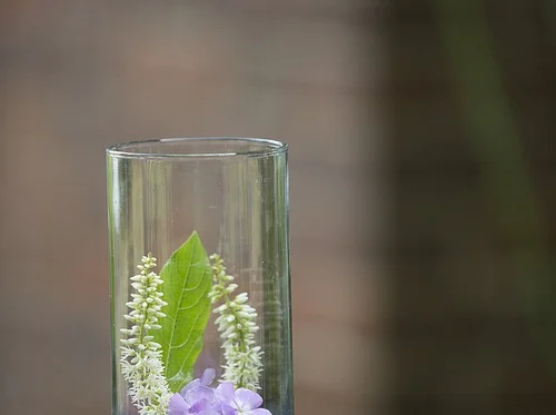 Go Native with Infused Vodkas