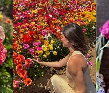 Blooms & Bubbles: Spring Afternoon Date at Mellano Farm Stand