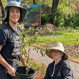 Win Win Tree Planting and Pickup