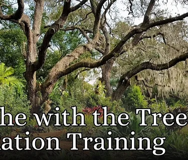 Breathe with the Trees Relaxation Training