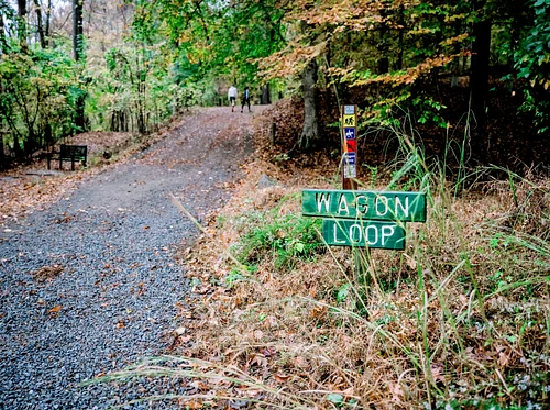 Invasive Invaders 102 Workshop