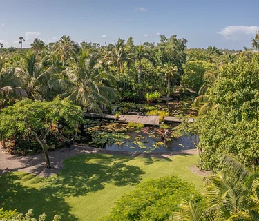 Senate Mobile Office Hours