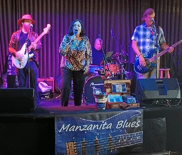 Manzanita Blues Band