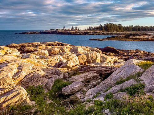 Schoodic Nature Photography Workshop with Dean Tyler