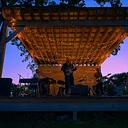 Fall Music Series