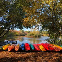 Fall Foliage Paddle Tour on Old Ice Pond