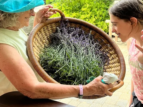 Spring Workshop: Herbal Infusions