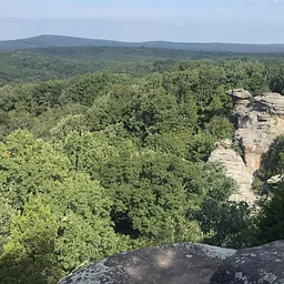 Friends of the Shawnee Forest Annual Celebration