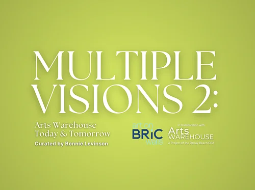 Satellite Exhibition | Multiple Visions 2: