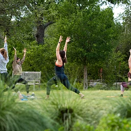 Yoga FIT: Fall Series