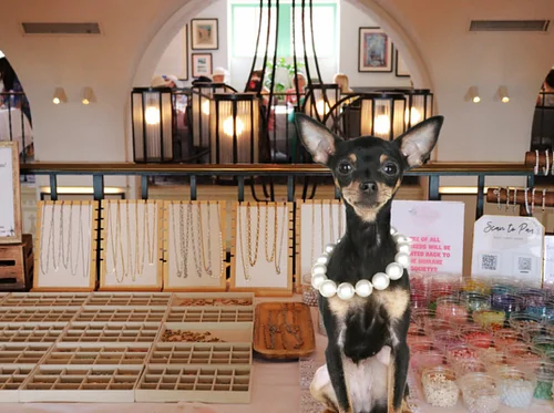 Doggie Bead Bar Giveback