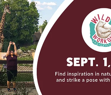 Wild Workout: Yoga (Giraffe)