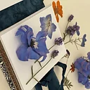 Travelers Flower Press Bookmaking with Claire Formilan