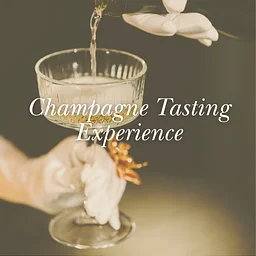 Champagne Tasting Experience