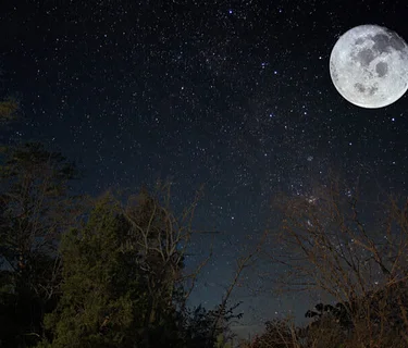 Full “Blue” Moon Night Hike