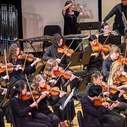 WPS Youth Orchestras Fall Concert