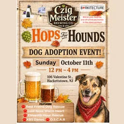 Dog Adoption Event
