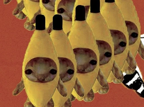 Experimental Digital Photography