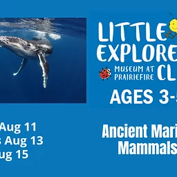 Little Explorer’s Club: Ancient Marine Mammals