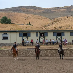 Hunter and Equitation Judge's Workshop