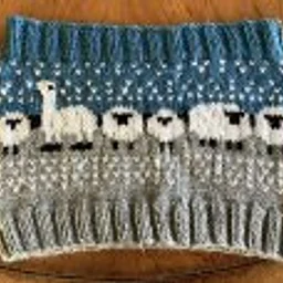 CLASS: I'LL PACK A COWL FOR RHINEBECK (KNIT) - 2 Session Class