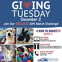 Giving Tuesday