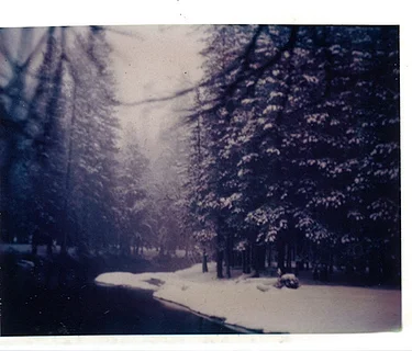 Summer Art Camp | Exploring Photography Without a Camera (Rising 9th – 12th grade)