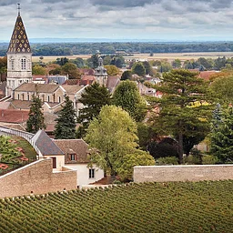 Burgundy Cruise